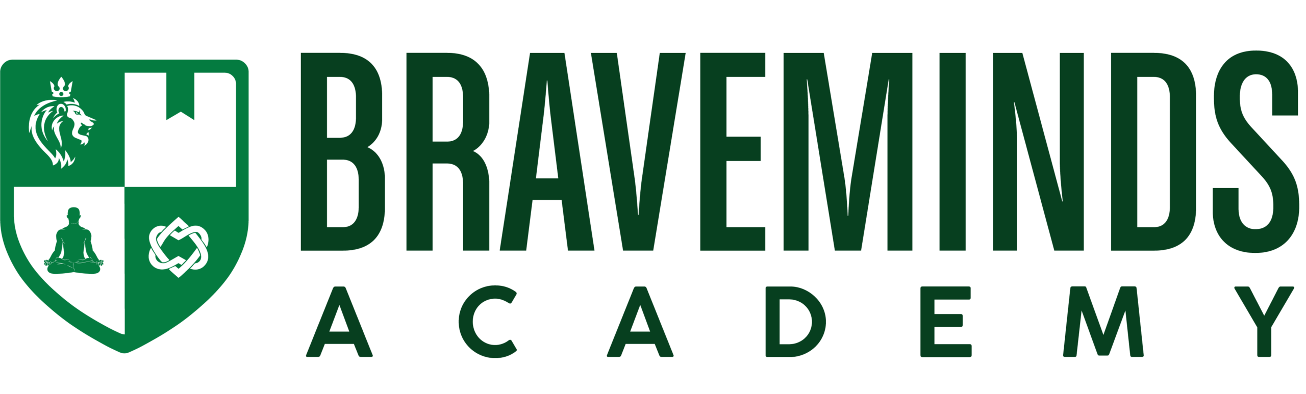 Braveminds Academy