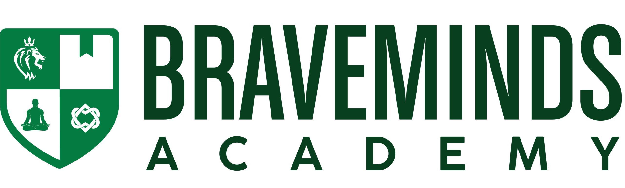 Braveminds Academy