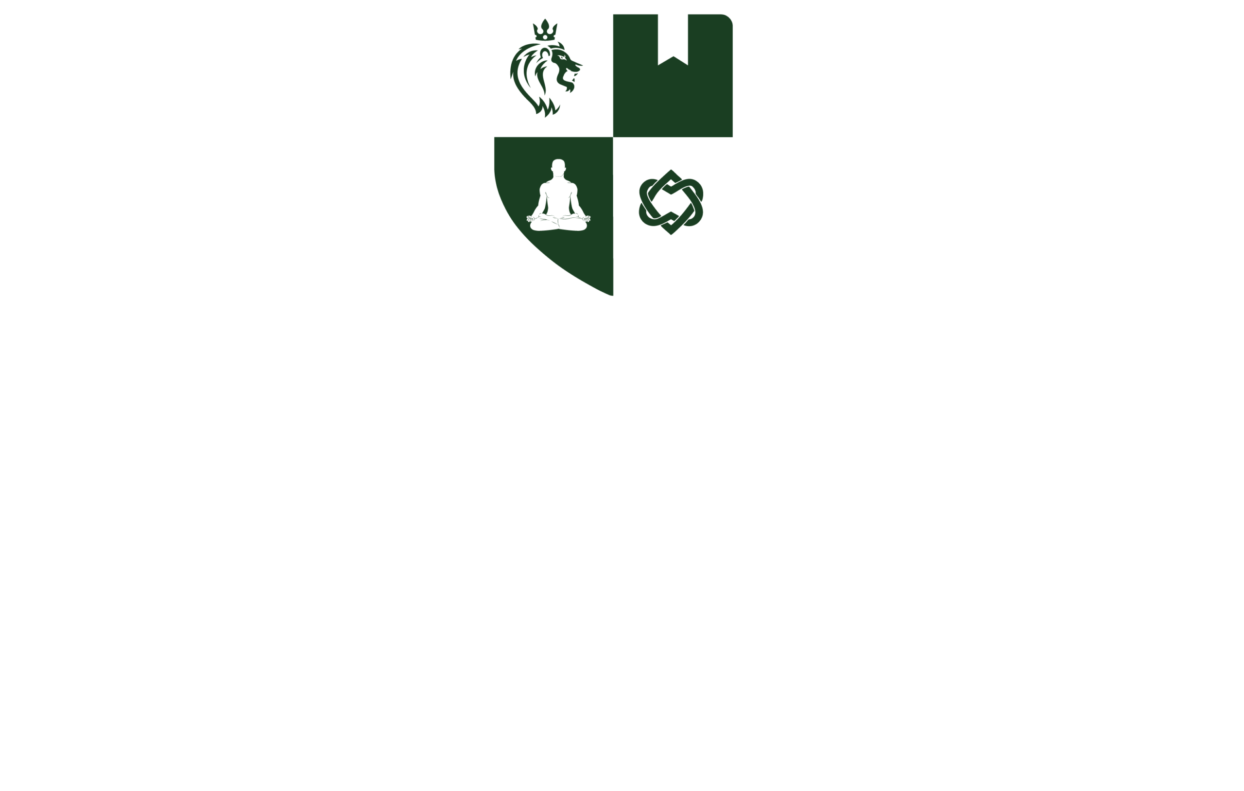 Braveminds Academy