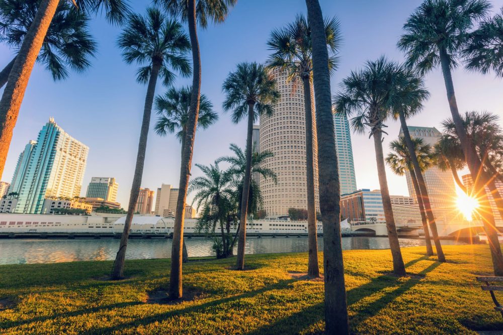 01 Braveminds Academy – Mental Health Treatment Near Tampa (Content Review)
