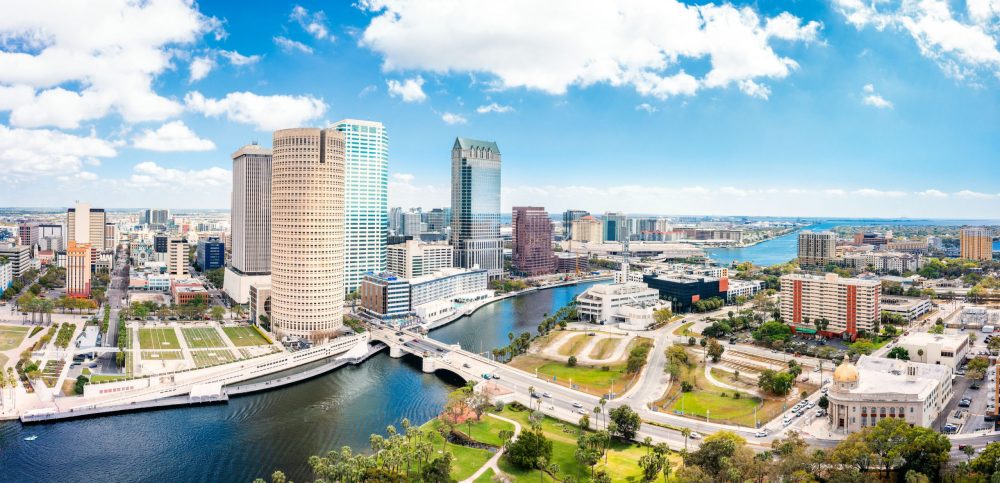 02 Braveminds Academy – Mental Health Treatment Near Tampa (Content Review)