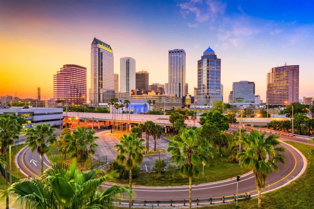 03 Braveminds Academy – Mental Health Treatment Near Tampa (Content Review)